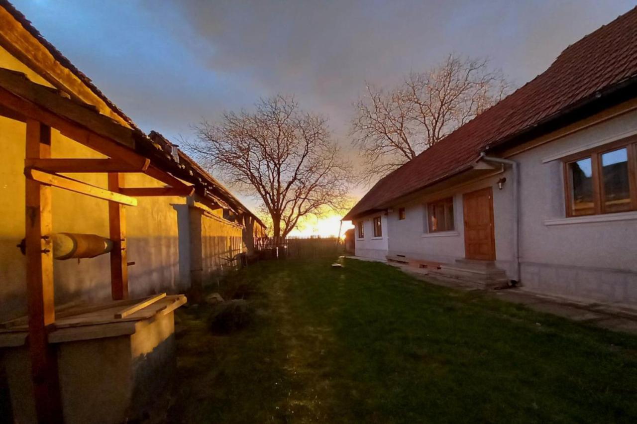 Гостевой дом Galeria Turismului Montan Кырцишоара Экстерьер фото