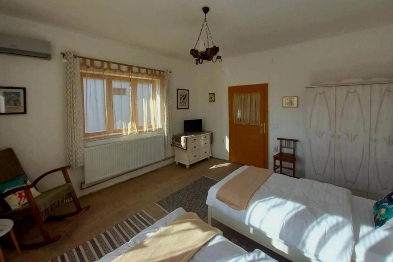 Гостевой дом Galeria Turismului Montan Кырцишоара Экстерьер фото
